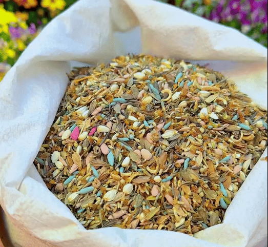 Heirloom Mixed Perennial Flower Seeds